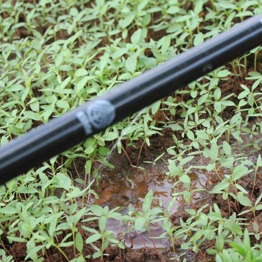 DRIP TAPE 250 PP 75 cm / 9 lph / 16 mm / 1000 meter