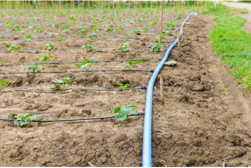 Drip Irrigation systems