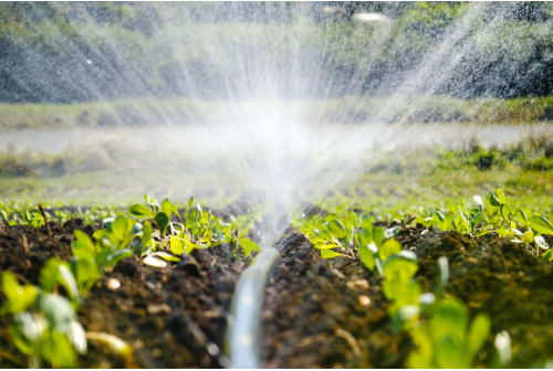 Maximizing Crop Yield and Efficiency with Drip Irrigation