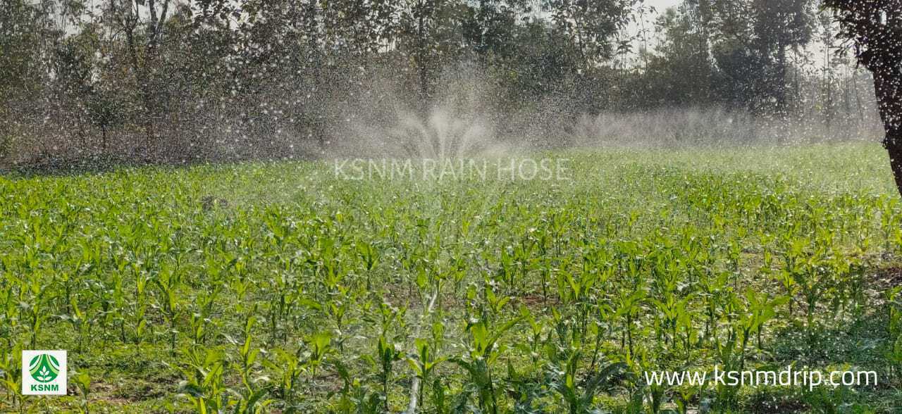 SPRAY IRRIGATION KIT 1000 Sqm 1/4 acre