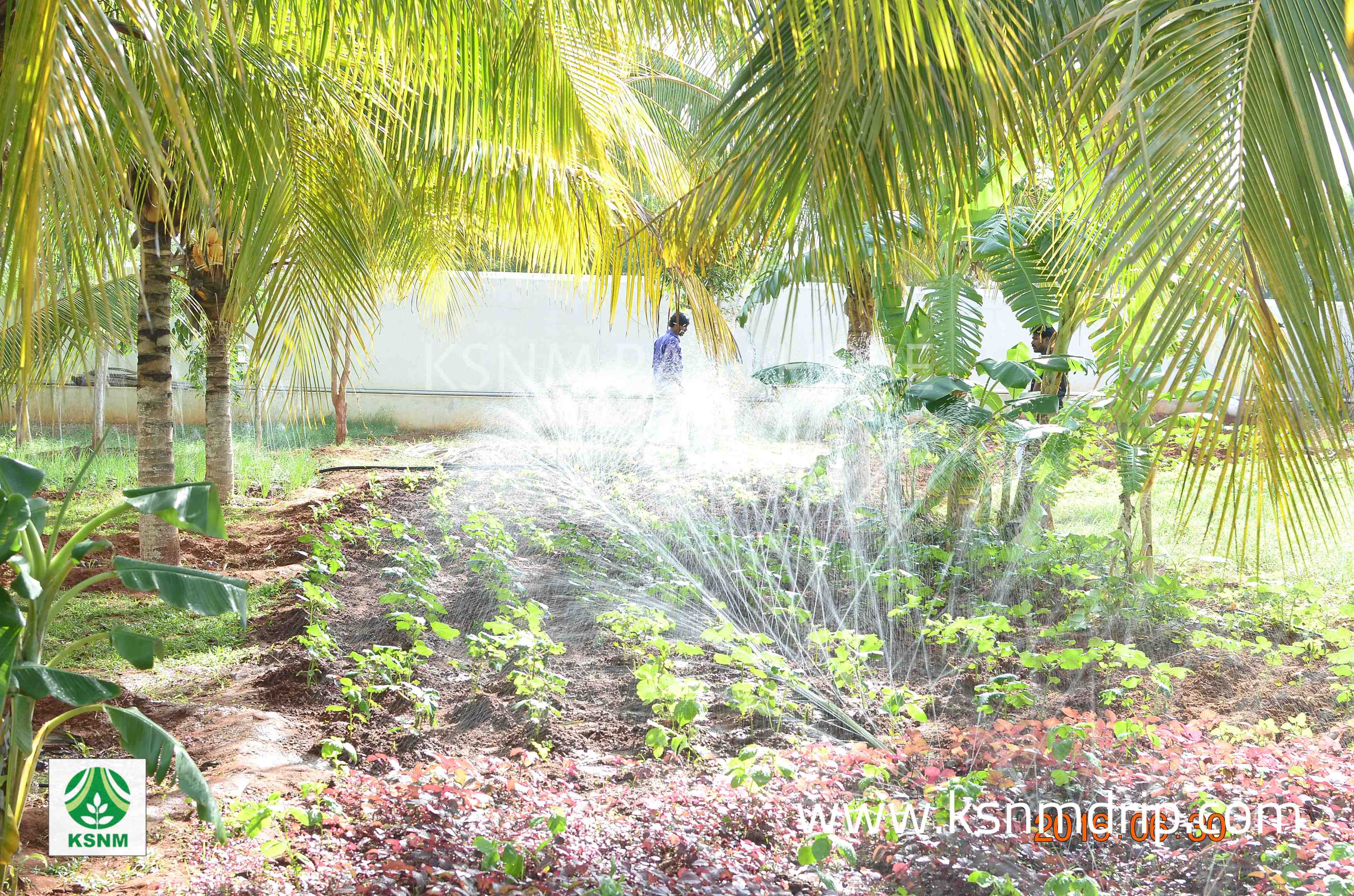 SPRAY IRRIGATION KIT 1000 Sqm 1/4 acre, Buy Spray Irrigation Kit Manufacturer 1000 sqm 1/4